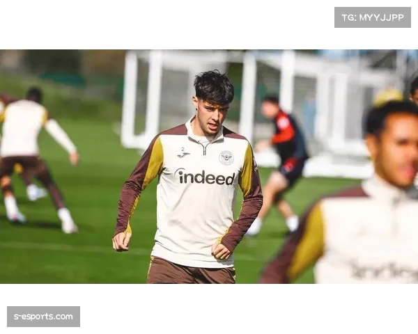 布伦特福德伤病管理：安德鲁斯确认多名球员恢复进展